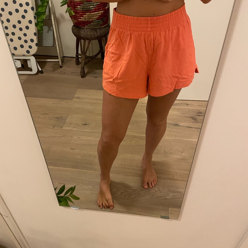 Everlane cotton shorts